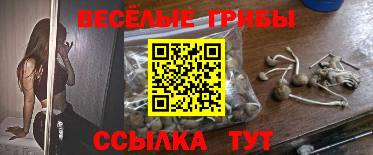 Галлюциногенные грибы Psilocybine cubensis Мыски